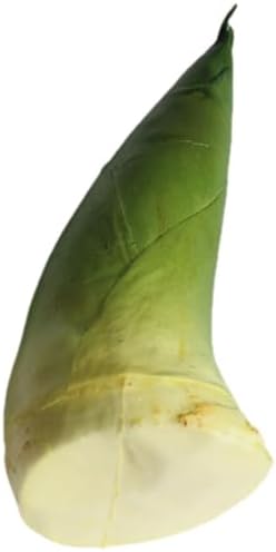 ARTIBETTER Artificial Bamboo Shoots Decorative Model