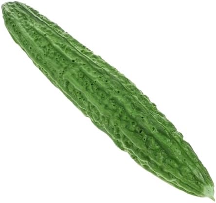Wakauto Realistic Bitter Melon Artificial Vegetable Decor Model