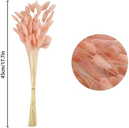Uieke 17 Inch Natural Bunny Tail Dried Flowers 50 Pcs