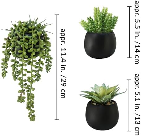 Winlyn Set of 3 Artificial Succulents in Black Planters