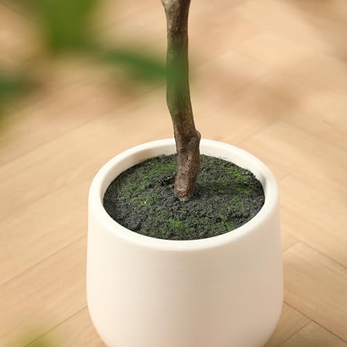 SOGUYI Artificial Black Olive Tree 5FT Decor