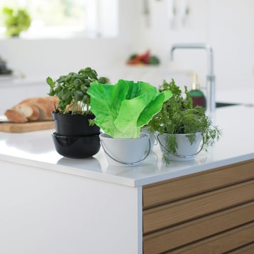 PRETYZOOM Realistic Artificial Lettuce Leaves Salad Decor