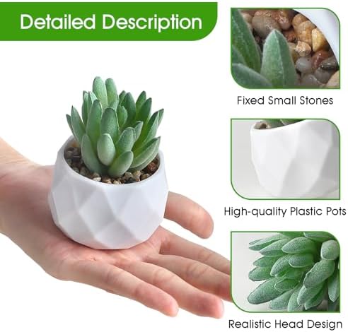 ZINHO Artificial Succulent Plant Set 6 PCS