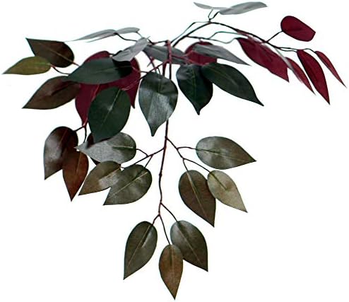 Vickerman 4 Foot Artificial Capensia Bush in Black Pot