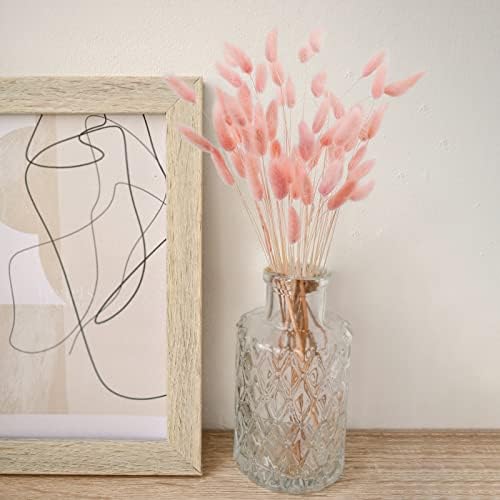 Uieke 17 Inch Natural Bunny Tail Dried Flowers 50 Pcs