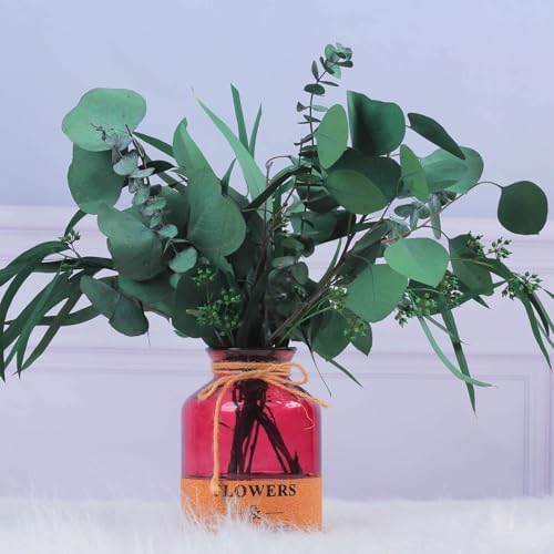 Glicrili 12Pcs Mixed Real Dried Eucalyptus Leaves Stems