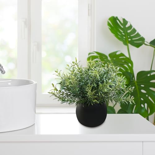 Winlyn Set of 3 Small Artificial Plants in Black Concrete Pots