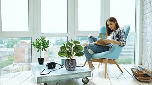AlphaAcc Artificial Plants Fiddle Leaf Fig with Cement Planter