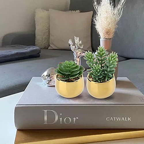 Briful Artificial Succulents in Gold Ceramic Pots Set of 3