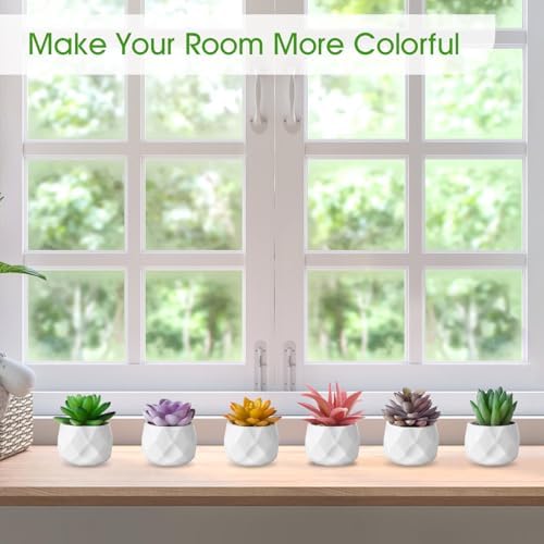 ZINHO Artificial Succulent Plant Set 6 PCS