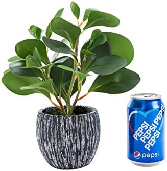 AlphaAcc Artificial Plants Fiddle Leaf Fig with Cement Planter