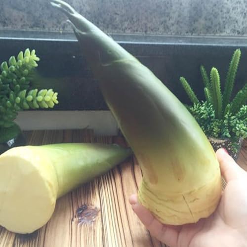 ARTIBETTER Artificial Bamboo Shoots Decorative Model