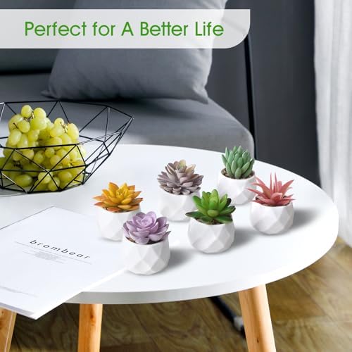 ZINHO Artificial Succulent Plant Set 6 PCS
