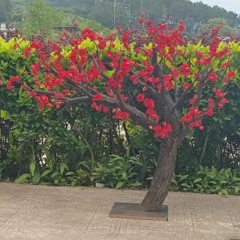 Red Artificial Plum Blossom Tree 1mx08m