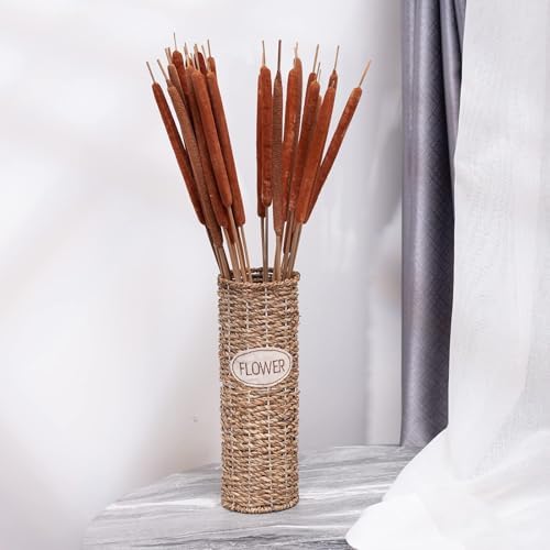 Dried Natural Cattails 20PCS Jumbo for Decor