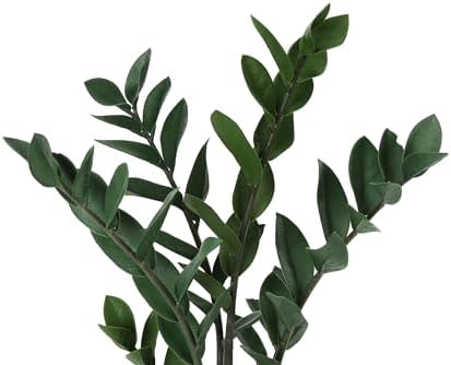 Monarch Specialties I 9506 Artificial ZZ Tree 29 Tall