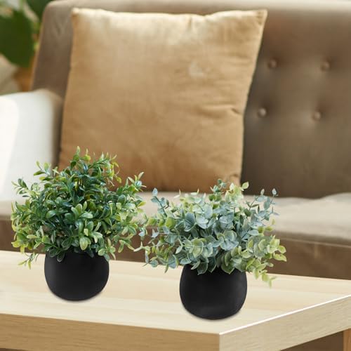 Winlyn Set of 3 Small Artificial Plants in Black Concrete Pots