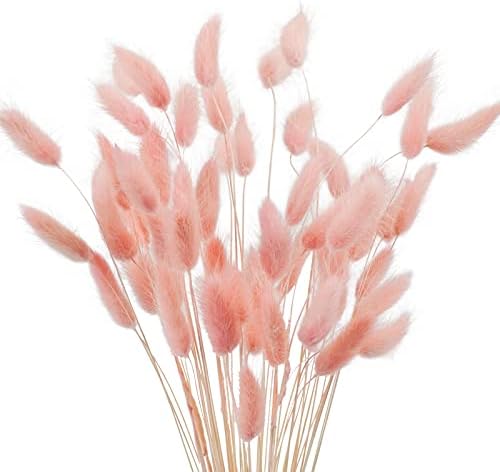 Uieke 17 Inch Natural Bunny Tail Dried Flowers 50 Pcs