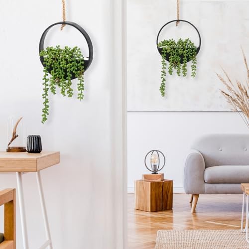 CEWOR 2pcs Artificial Hanging Succulent Plants Black Boho Wall Decor