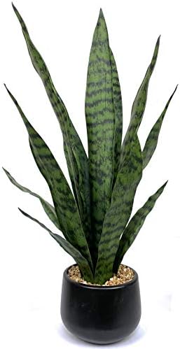 Bird Fiy Artificial Snake Plant 225 Inch Faux Agave