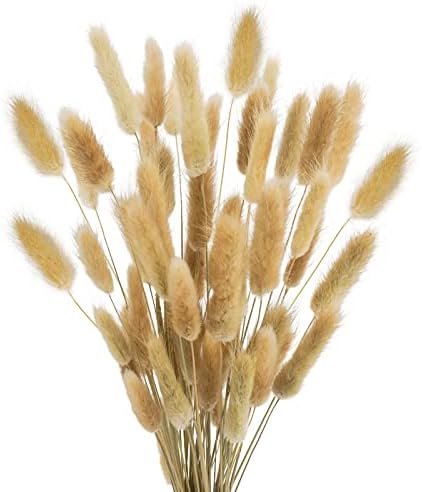 Uieke 17 Inch Natural Bunny Tails Dried Flowers 50 Pcs