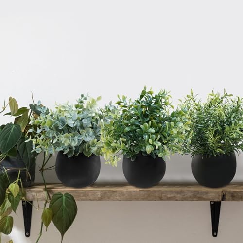 Winlyn Set of 3 Small Artificial Plants in Black Concrete Pots