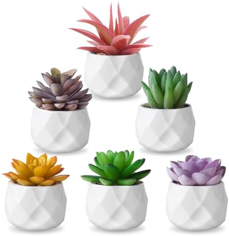 ZINHO Artificial Succulent Plant Set 6 PCS