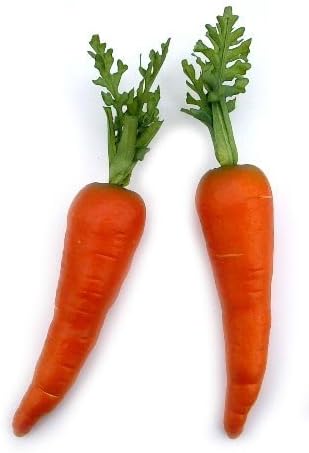 Artificial Country Carrots 12 Pieces in 2 Sizes