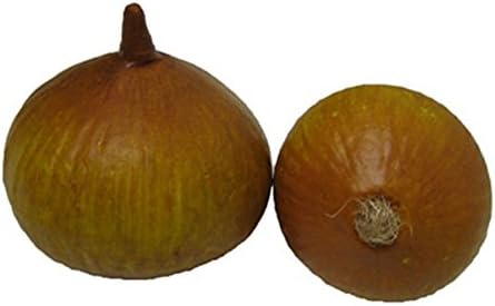 Bluebird Artificial Natural Onion Box of 12