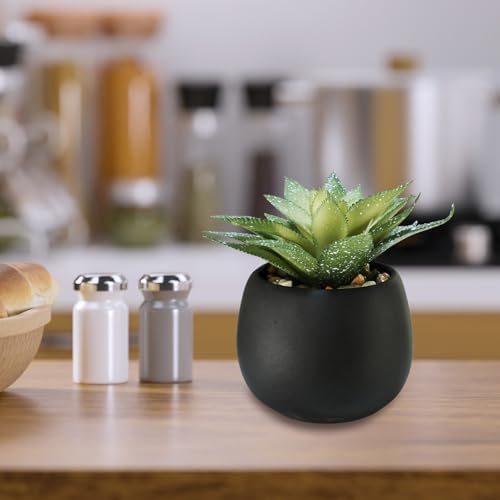 Winlyn Set of 3 Artificial Succulents in Black Planters