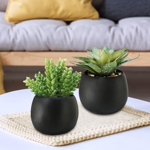 Winlyn Set of 3 Artificial Succulents in Black Planters