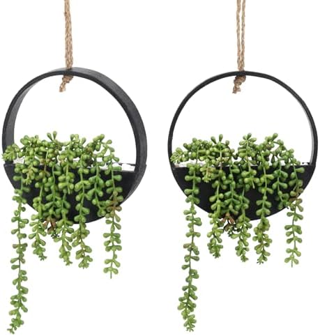 CEWOR 2pcs Artificial Hanging Succulent Plants Black Boho Wall Decor