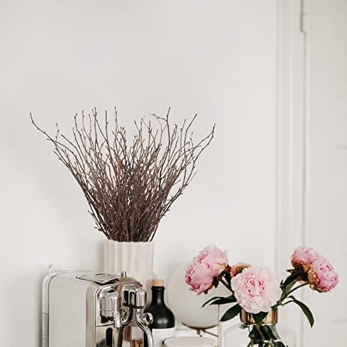 Uieke 50PCS Natural Birch Twigs Decor 17 Inch