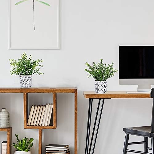 Winlyn 2 Pack Artificial Green Boxwood Rosemary Plants in Concrete Pots
