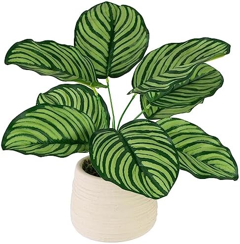 Northlight 13 Inch Artificial Prayer Plant in Beige Ceramic Pot
