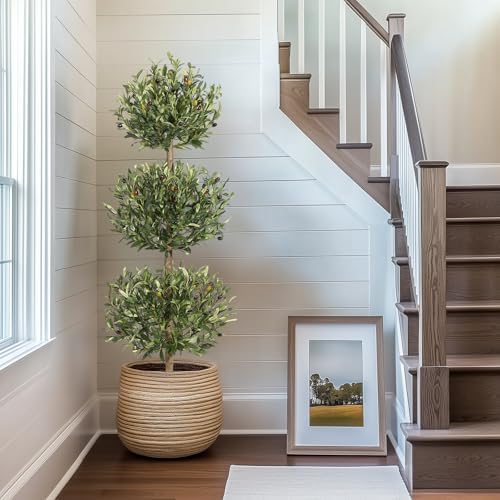 5FT Artificial Olive Triple Ball Topiary Trees with Moss and Inner Pot