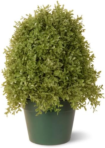 National Tree Company Artificial Shrub Boxwood 15 Inches Green