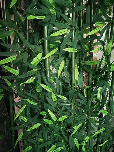 Faux Bamboo Stems Artificial Trees 7ft 6ft 5ft 4ft 3ft 2ft