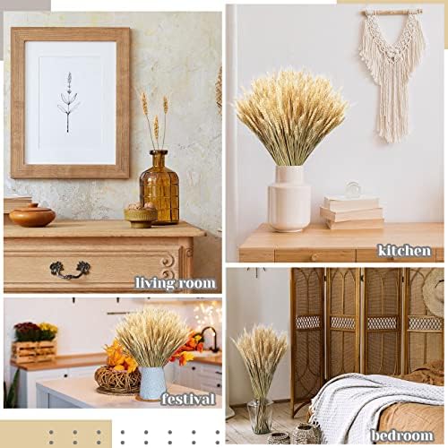 Geosar Dried Wheat Stalks for Decor 16 Inch Bundle