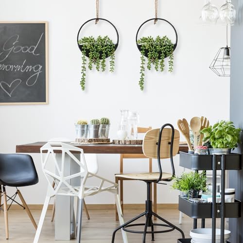 CEWOR 2pcs Artificial Hanging Succulent Plants Black Boho Wall Decor