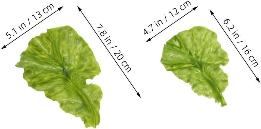 Realistic Artificial Lettuce Leaves for Kitchen Display