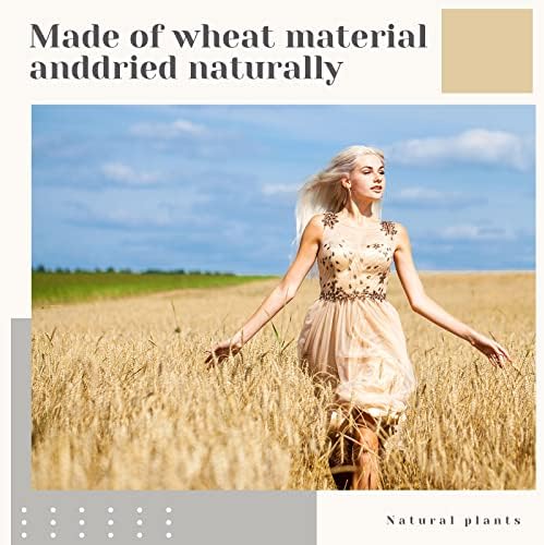 Geosar Dried Wheat Stalks for Decor 16 Inch Bundle