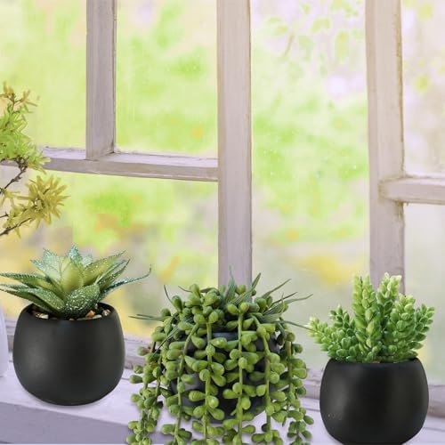 Winlyn Set of 3 Artificial Succulents in Black Planters