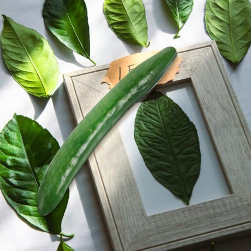 LOGOFUN 8 Pc Realistic Fake Cucumber Decor Prop