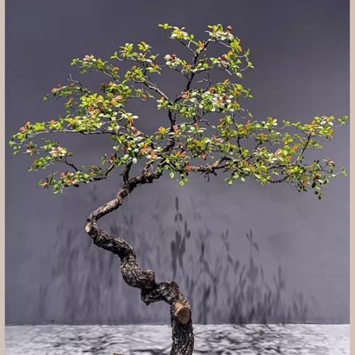 TBJEN Simulated Island Spring Flower Tree 1mx08m