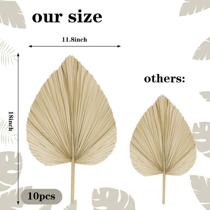 10pcs Large Dried Palm Leaves Boho DecorVase Wedding Backdrop