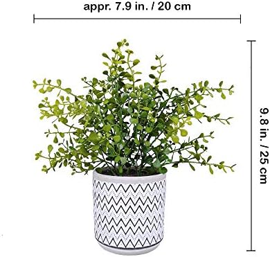 Winlyn 2 Pack Artificial Green Boxwood Rosemary Plants in Concrete Pots