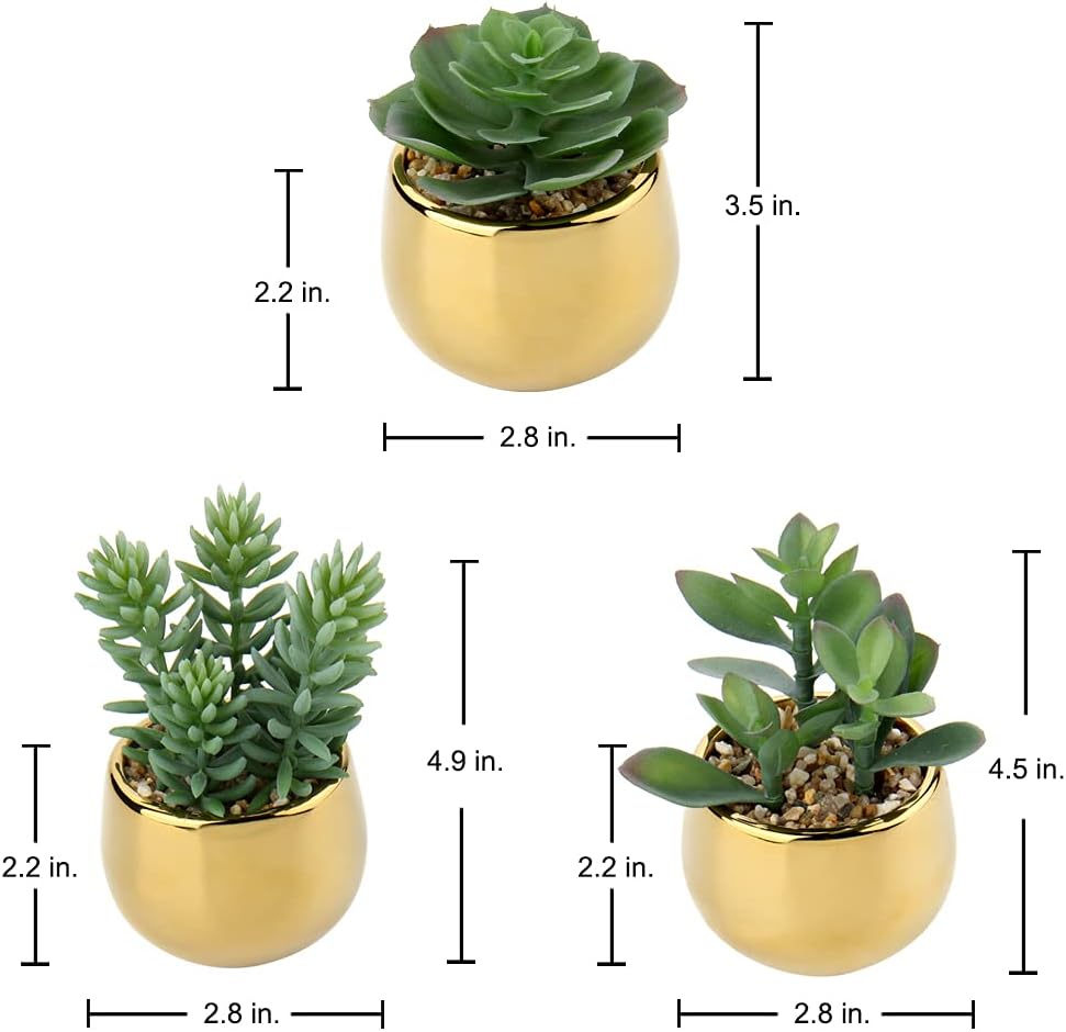 Briful Artificial Succulents in Gold Ceramic Pots Set of 3