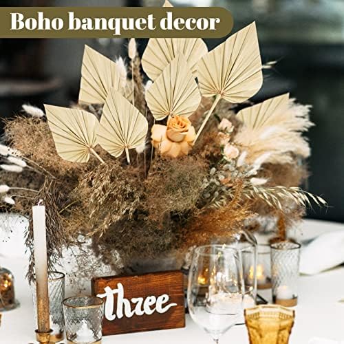 Cenkaiyang 20 Pcs Boho Dried Palm Leaf Spears with Stem