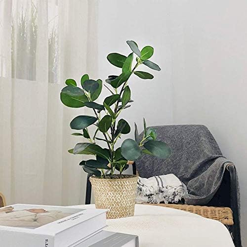 SAROSORA Artificial Ficus Tree with Weaved Pot 20 Inch Green